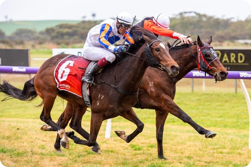 Horse racing photo 17